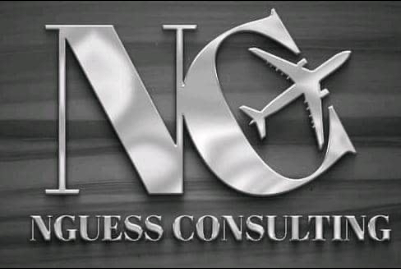 Nguess Consulting logo